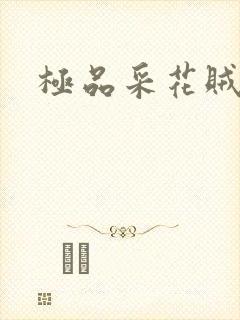 极品采花贼