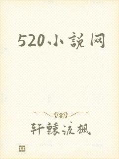 520小说网