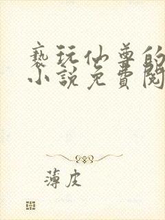 亵玩仙尊的道侣小说免费阅读