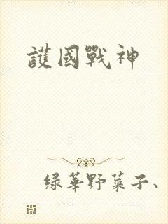 护国战神