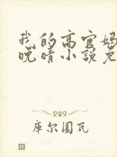 我的高官妈妈苏晚晴小说免费阅读封面