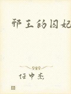 邪王的囚妃封面