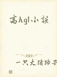 高hgl小说