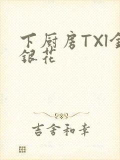 下厨房TXl金银花封面