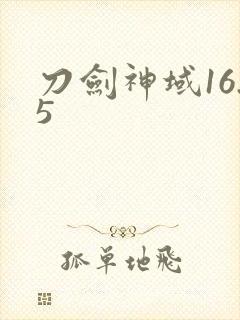 刀剑神域16.5