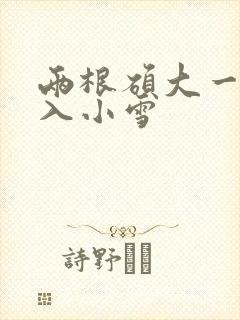 两根硕大一起挤入小雪