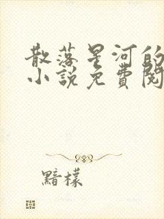 散落星河的记忆小说免费阅读全文封面