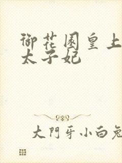 御花园皇上撞着太子妃