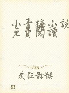 小青梅小说全文免费阅读封面