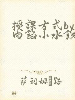 授课方式by 肉馅小水饺