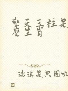 擎天玉柱是指什么生肖