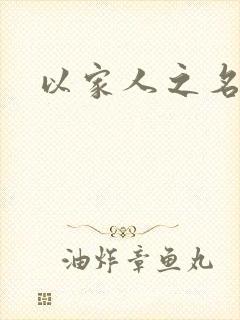 以家人之名小说