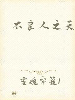 不良人之天罡传