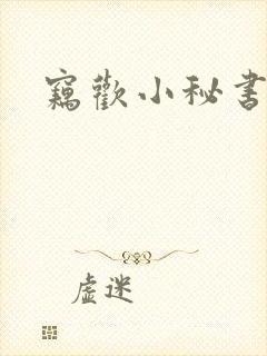 窃欢小秘书