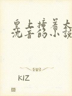 皇上撞着太子妃沈音的小说叫什么