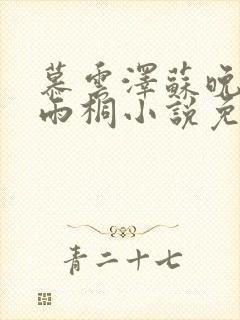 慕云泽苏晚晴夏雨桐小说免费阅读