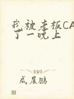 我被老板CAO了一晚上封面