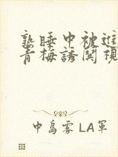 熟睡中被进了H青梅诱哄视频