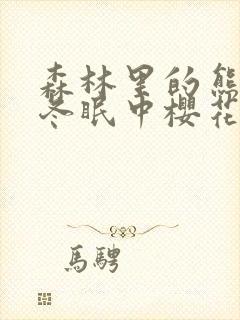 森林里的熊先生冬眠中樱花动漫