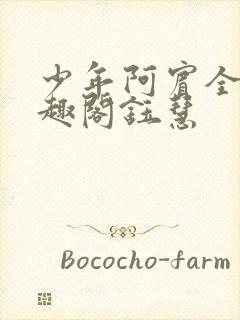 少年阿宾全文笔趣阁钰慧