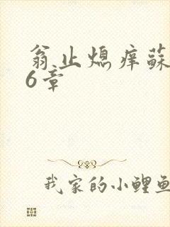 翁止熄痒苏玥第6章