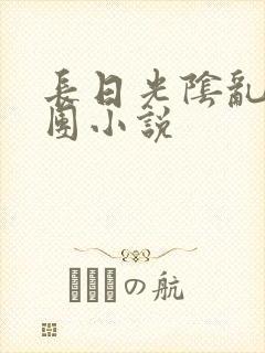 长日光阴乱作一团小说