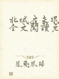 北城夜未眠小说全文阅读免费