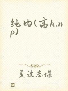 纯肉(高h.np)