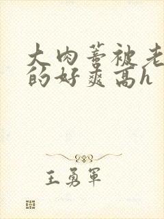 大肉蒂被老头嘬的好爽高h封面