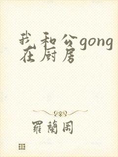我和公gong在厨房