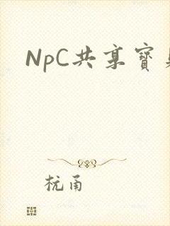 NpC共享宝贝封面