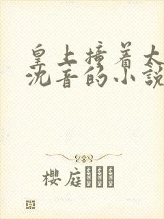 皇上撞着太子妃沈音的小说叫什么