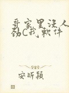 哥家里没人使点劲C我软件