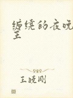 缠绕的夜晚双男主