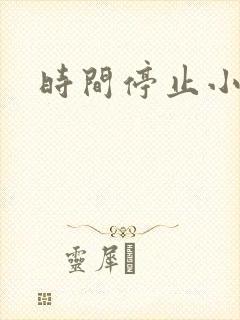 时间停止小说