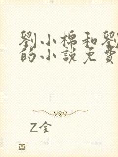 刘小棉和刘易文的小说免费阅读