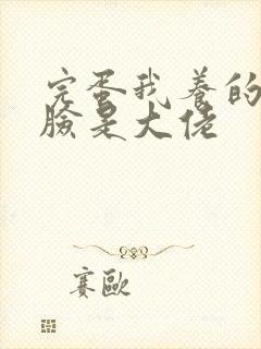 完蛋我养的小白脸是大佬