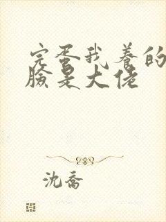 完蛋我养的小白脸是大佬