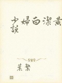 少妇白洁黄色小说封面