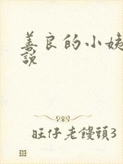 善良的小姨子小说