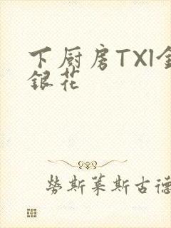 下厨房TXl金银花