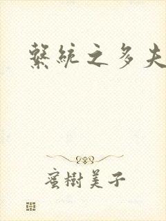 系统之多夫HP封面