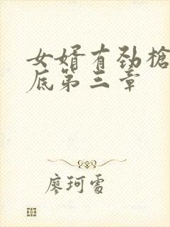 女婿有劲枪枪到底第三章封面