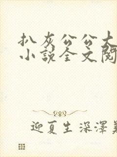 扒灰公公大杂烩小说全文阅读