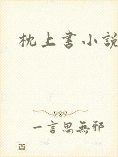 枕上书小说
