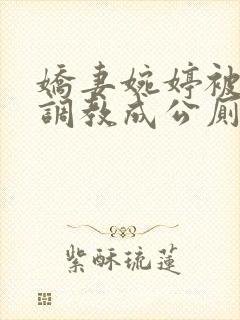 娇妻婉婷被黑人调教成公厕小说