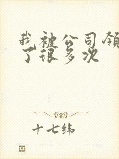 我被公司领导C了很多次封面