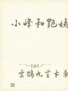 小峰和艳姨封面