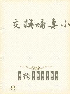 交换娇妻小说