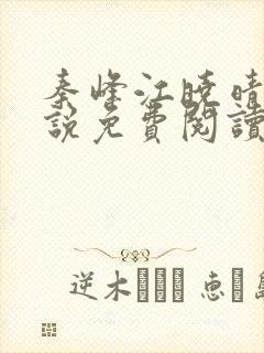 秦峰江晓晴的小说免费阅读